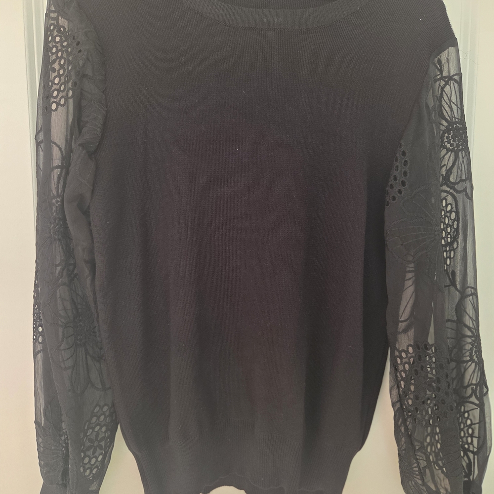 Chicwish Black Sweater with Sheer Lace Sleeves